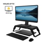 Fellowes Hana Monitor Stand Black 100016996