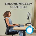 Fellowes Breyta Palm Wrist Rest Marine 100142567