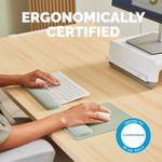 Fellowes Breyta Compact Keyboard Wrist Rest Sage 100142573