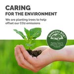 Bankers Box Earth Series Parts Bin 51mm (Pack of 50) 7351