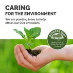 Bankers Box Storage Box Standard Grey (Pack of 10) 00810-FF