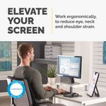 Fellowes Standard Monitor Stand Platinum 91712