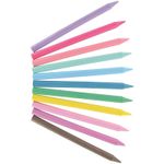 Bic Plastidecor Crayons Assorted Pack of 24 8297721