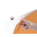 Bi-Office Loop Magnetic Lacquered Steel Surface Frameless board 1800x1000mm Tangerine WRL01890101