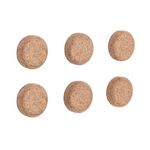 Earth Cork Magnets (Pack of 6) IM036201