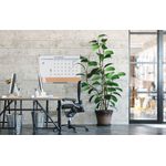 Bi-Office Maya 3-In-1 Magnetic Month Planner Lacquered Steel/Cork 90x60cm MB0707186P