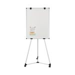 Earth Kyoto Mobile Magnetic Easel EA14506174