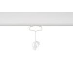 Bi-Office Wall Projection Screen Manual Retraction 244x244cm 9D006011