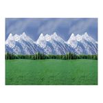 Bordette Fadeless Designs Poster Paper Rolls 1218mm x 3.6m Assorted (Pack of 24) AR01313