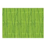 Bordette Fadeless Designs Poster Paper Rolls 1218mm x 3.6m Assorted (Pack of 24) AR01313