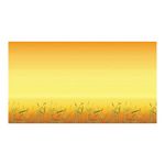 Bordette Fadeless Designs Poster Paper Rolls 1218mm x 3.6m Assorted (Pack of 24) AR01313