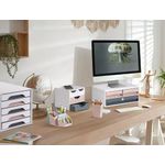 CEP Mineral Magazine Files Assorted (Pack of 4) 1067446401