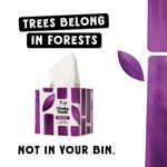 Cheeky Panda Soothing Balsam 4-Ply Tissues (Pack of 12) BALSCUBT4PX12