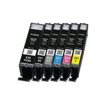 Canon PGI-550/CLI-551 Ink Cartridges PGBK/CMYK/GY Multipack 6496B005