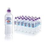 Radnor Hills Splash Still Water Forest Fruits 500ml (Pack of 24) 0201049