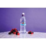 Radnor Hills Splash Still Water Forest Fruits 500ml (Pack of 24) 0201049