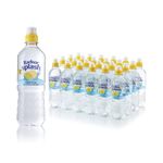 Radnor Hills Splash Still Water Lemon and Lime 500ml (Pack of 24) 0201047