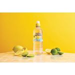 Radnor Hills Splash Still Water Lemon and Lime 500ml (Pack of 24) 0201047