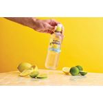 Radnor Hills Splash Still Water Lemon and Lime 500ml (Pack of 24) 0201047