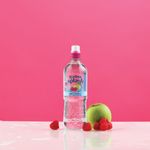 Radnor Hills Splash Still Water Apple Raspberry 500ml (Pack of 24) 0201046