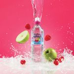 Radnor Hills Splash Still Water Apple Raspberry 500ml (Pack of 24) 0201046