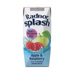Radnor Hills Splash Water Tetra Pak Apple Raspberry 250ml (Pack of 24) 0201067