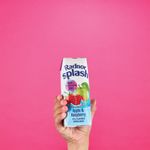 Radnor Hills Splash Water Tetra Pak Apple Raspberry 250ml (Pack of 24) 0201067