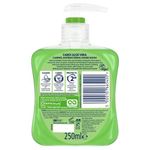 Carex Aloe 250ml (Pack of 6) 339865