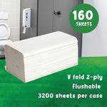 Cheeky Panda 2-Ply V-Fold Bamboo Hand Towel 160 Sheets White (Pack of 20) VHANDTW20