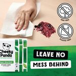 Cheeky Panda 2-Ply Plastic Free Kitchen Roll x2 Rolls (Pack of 5) PFKITCHRL10