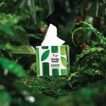 Cheeky Panda Facial Tissues Cube 56 Sheets (Pack of 12) 1103040