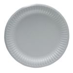Paper Plate 9 Inch White (100 Pack) 0511041