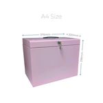 Cathedral File Box with 5 Suspension Files A4 Pastel Pink FPA4PP