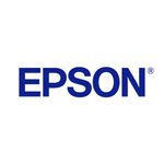 Epson T7609 Killer Whale UltraChrome HD Ink Cartridge Light Light Black C13T76094010