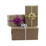 Eurowrap Plain Kraft Wrap 60gsm 700mm x 3m 32508-GWC