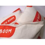 Green Boom Oil Only Large Absorbent Pillows (Pack of 10) P1616S