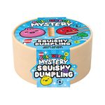 Colourful Mystery Squishy Dumpling 3+ Ast Designs Pack of 12 TOY13753