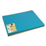 Exacompta Cogir Placemats 300x400mm Embossed Paper Turquoise (Pack of 500) 304039I