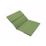 Exacompta Guildhall Double Pocket Wallet 315gsm Green A4/Foolscap (Pack of 25) 218-GRNZ