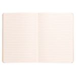 Clairefontaine Rhodiarama Notebook 80 Lined Pages A5 Silver Cover 117401C