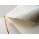 Clairefontaine Rhodiarama Notebook 80 Lined Pages A4+ Silver Cover 117701C