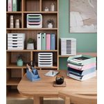 Exacompta Autentik Magazine Files A4+ Assorted (Pack of 4) 182303SETD