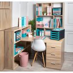 Exacompta Skandi Semi Rigid Recycled Polypropylene Ring Binder Assorted (Pack of 4) 54470E