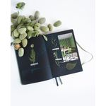 Clairefontaine Rhodiarama Creation Dot Goalbook A5 Celadon 194446C