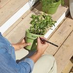 Sharpie China Marker Yellow (Pack of 12) S0305101