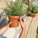 Sharpie Pro Permanent Marker Bullet Tip Black (Pack of 12) S0945720