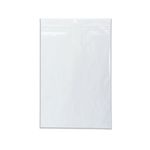 Minigrip Re-sealable Bag 229x324mm Clear (Pack of 1000) 53005