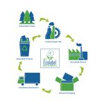 Oxford Card Cover Wirebound Notebook A5 Assorted (5 Pack) 100103741