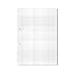 Hamelin Loose Leaf Paper 5mm Squared 1000 Page Punched 2 Hole A4 (Pack of 5) 100103318