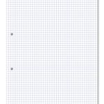 Hamelin Loose Leaf Paper 5mm Squared 1000 Page Punched 2 Hole A4 (Pack of 5) 100103318